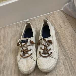 Sperry casual canvas sneaker